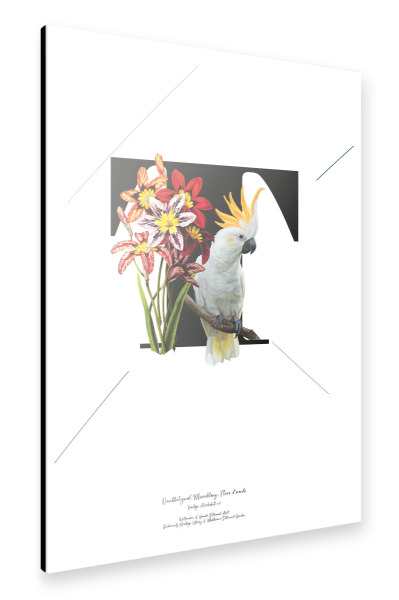 Alu-Dibond "Botanical Alphabet-T" 30x20 cm artboxONE