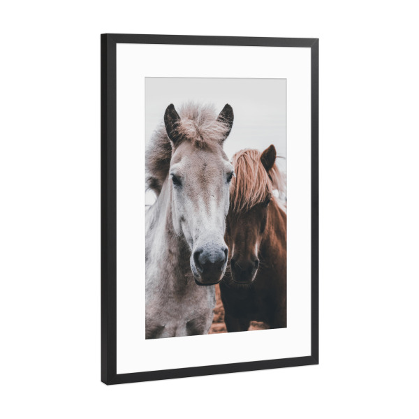 Poster mit Rahmen Schwarz (Metallic) "Wild Horses" artboxONE - Tiere - Horse