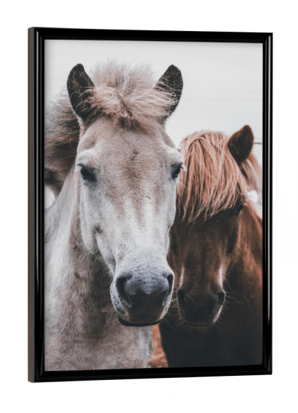 Poster mit schwarzem Rahmen "Wild Horses" artboxONE - Tiere - Horse