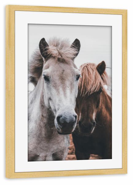 Poster mit Rahmen kiefer "Wild Horses" artboxONE - Tiere - Horse