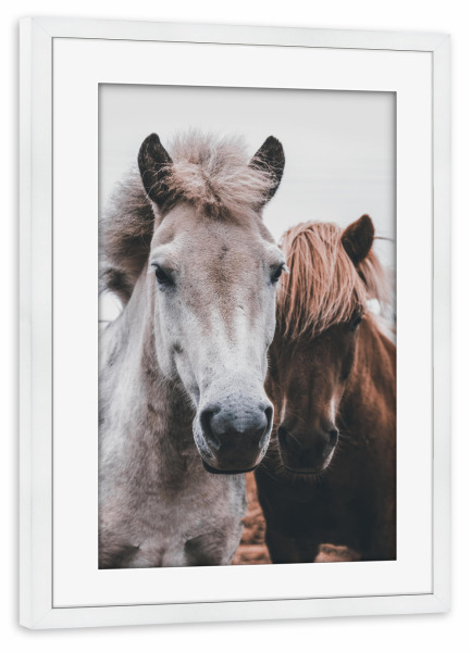 Poster mit Rahmen weiß "Wild Horses" artboxONE - Tiere - Horse