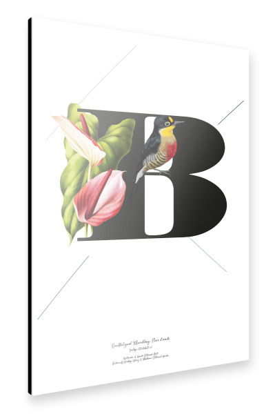 Alu-Dibond "Botanical Alphabet-B" 30x20 cm artboxONE