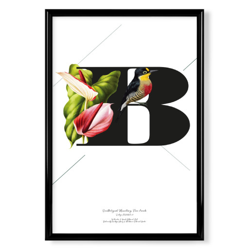 Botanical Alphabet-B