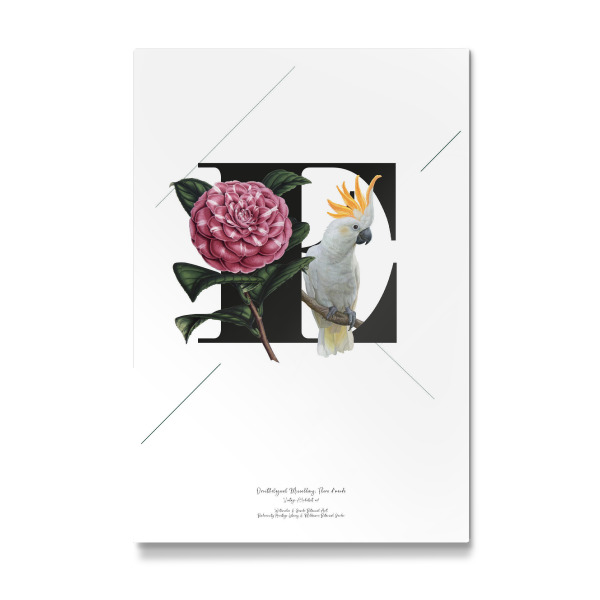 Galerie-Print "Botanical Alphabet-E" 30x20 cm artboxONE