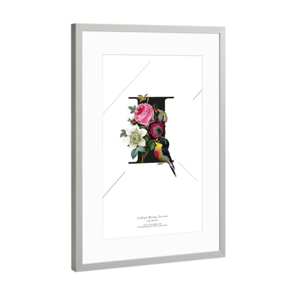 Poster mit Rahmen Silber "Botanical Alphabet-I" artboxONE - Buchstaben,Buchstaben / I