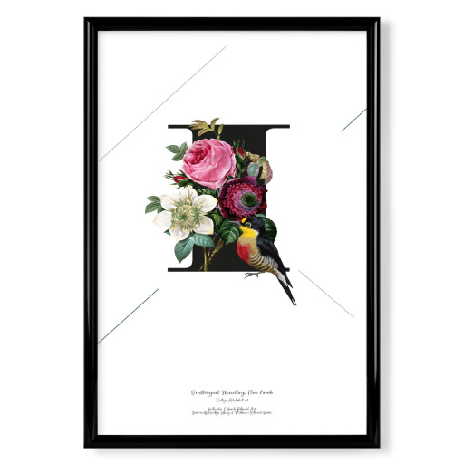 Botanical Alphabet-I