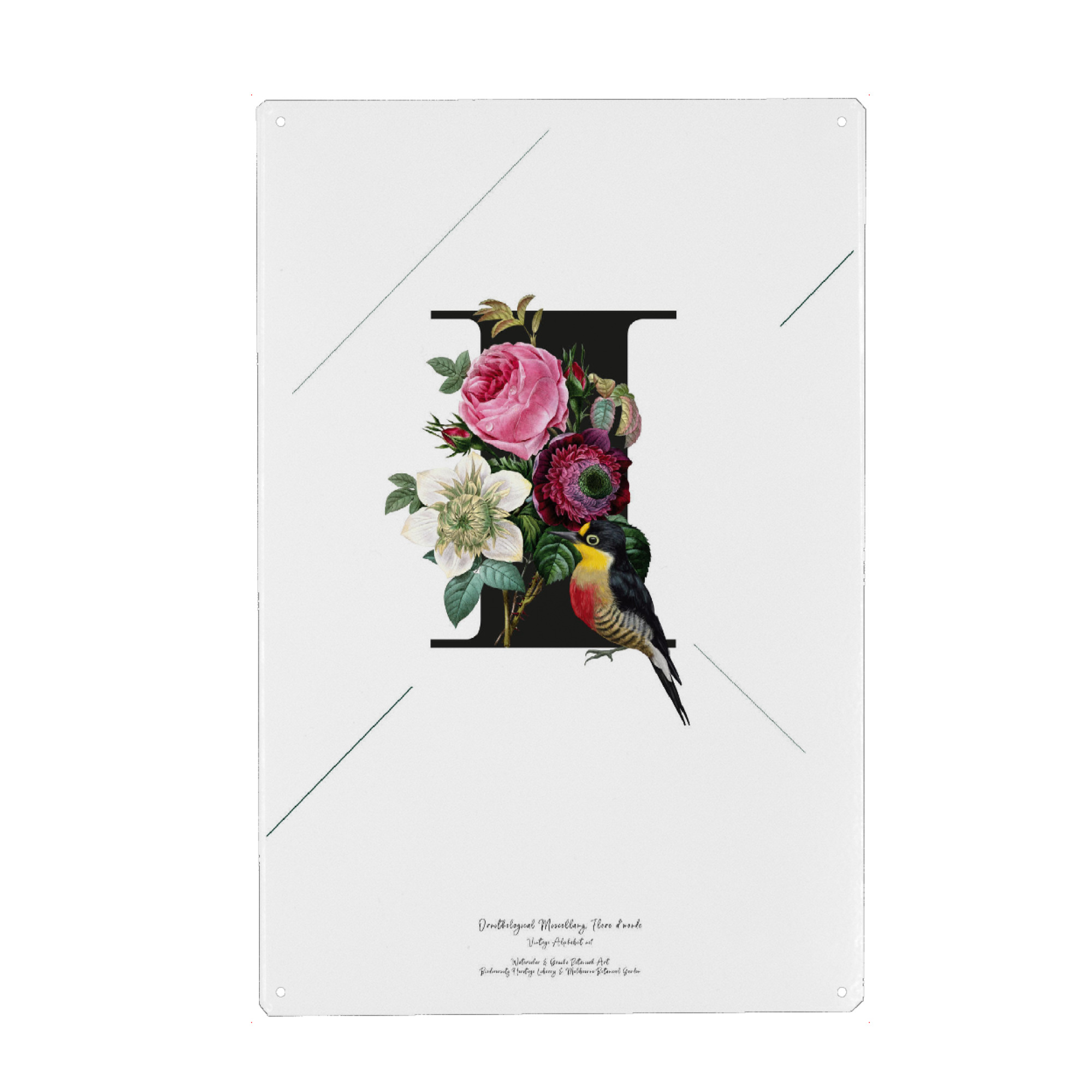 Holzbild "Botanical Alphabet-I" artboxONE - Buchstaben,Buchstaben / I