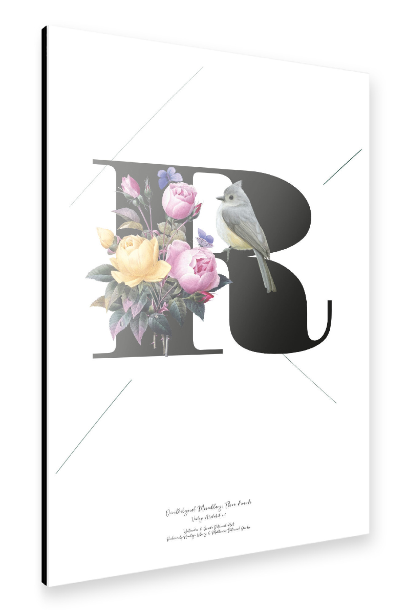 Alu-Dibond "Botanical Alphabet-R" 75x50 cm artboxONE