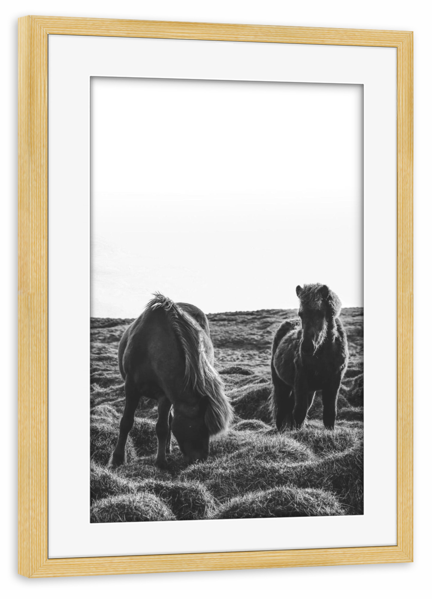 Poster mit Rahmen kiefer "Wildlife horses" artboxONE - Tiere,Schwarzweiß - Horses