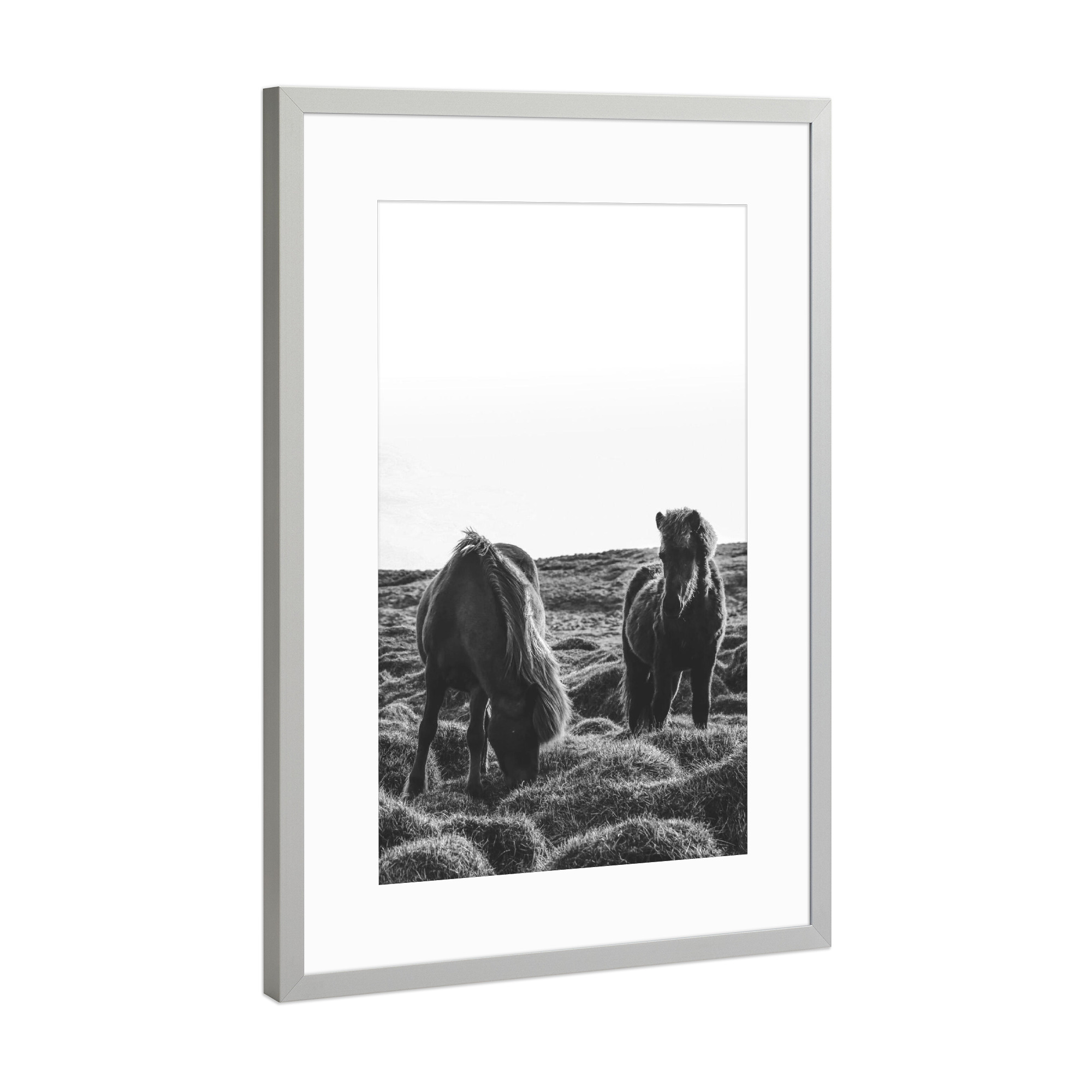 Poster mit Rahmen Silber "Wildlife horses" artboxONE - Tiere,Schwarzweiß - Horses