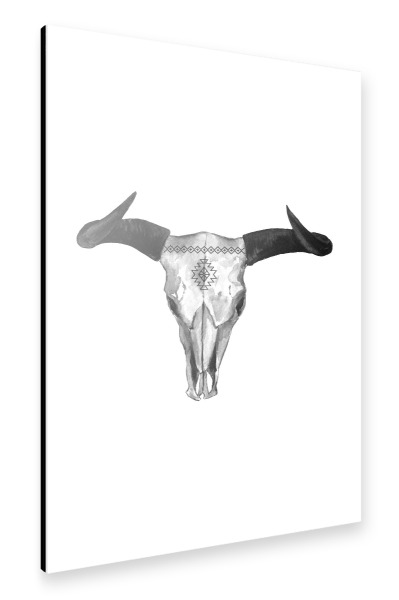 Alu-Dibond "Watercolor Bull Skull" 30x20 cm artboxONE