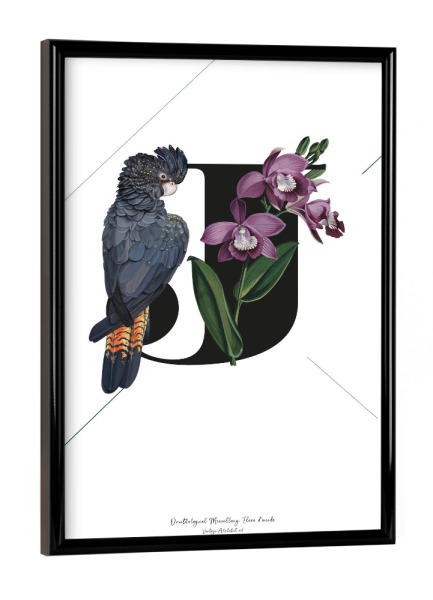 Poster mit schwarzem Rahmen "Botanical Alphabet-J" artboxONE - Buchstaben,Buchstaben / J