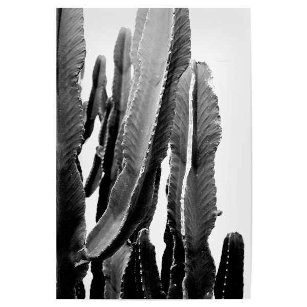 Poster 30x20 cm "Boho Cactus" artboxONE - Floral,Schwarzweiß - Kaktus