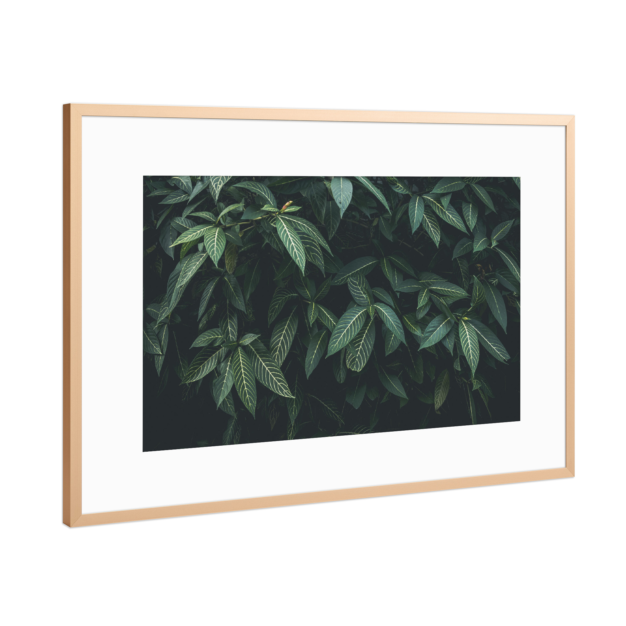 Poster mit Rahmen Kupfer "CLOROFILA" artboxONE - Floral - Leaves,Nature,Plant