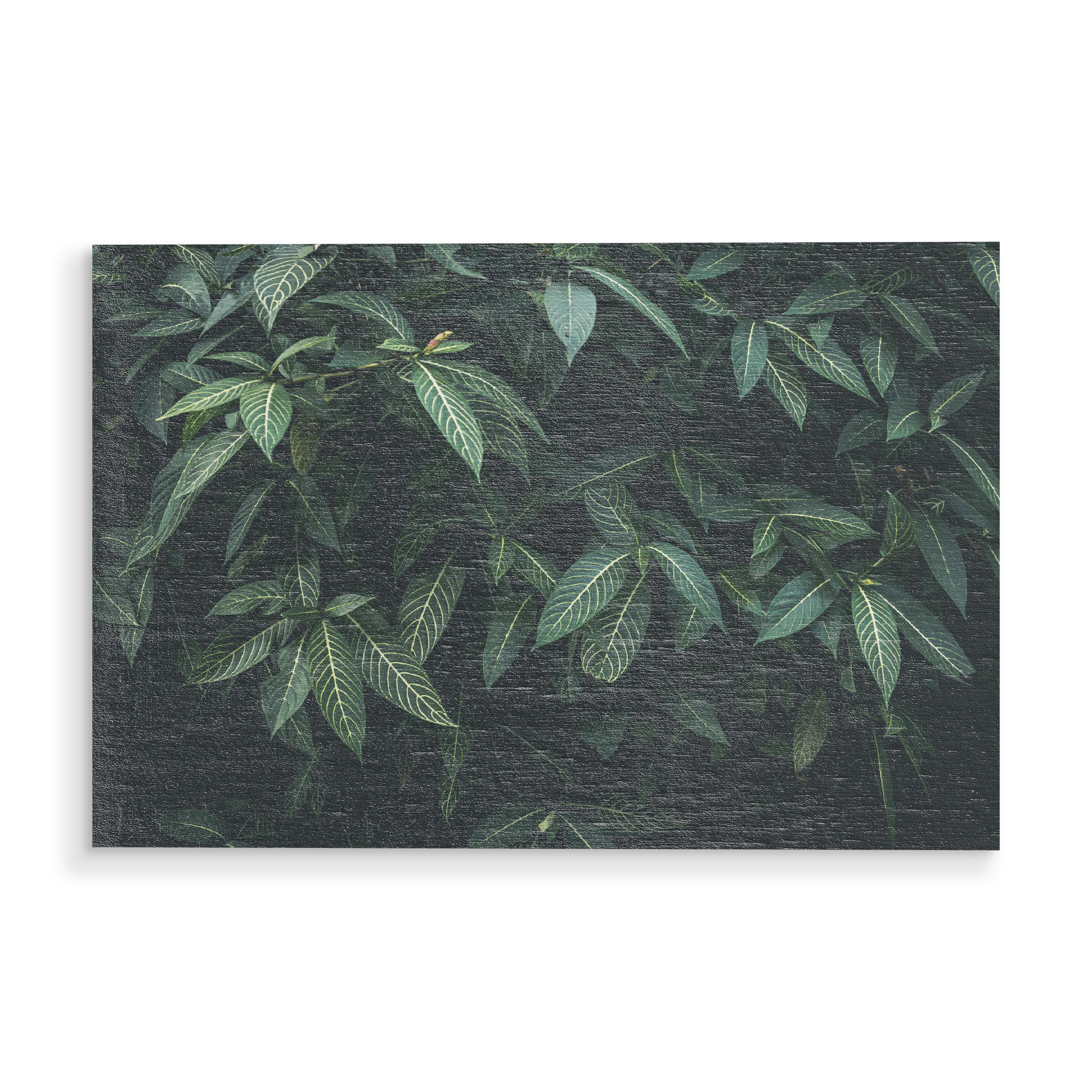 Holzbild "CLOROFILA" artboxONE - Floral - Leaves,Nature,Plant