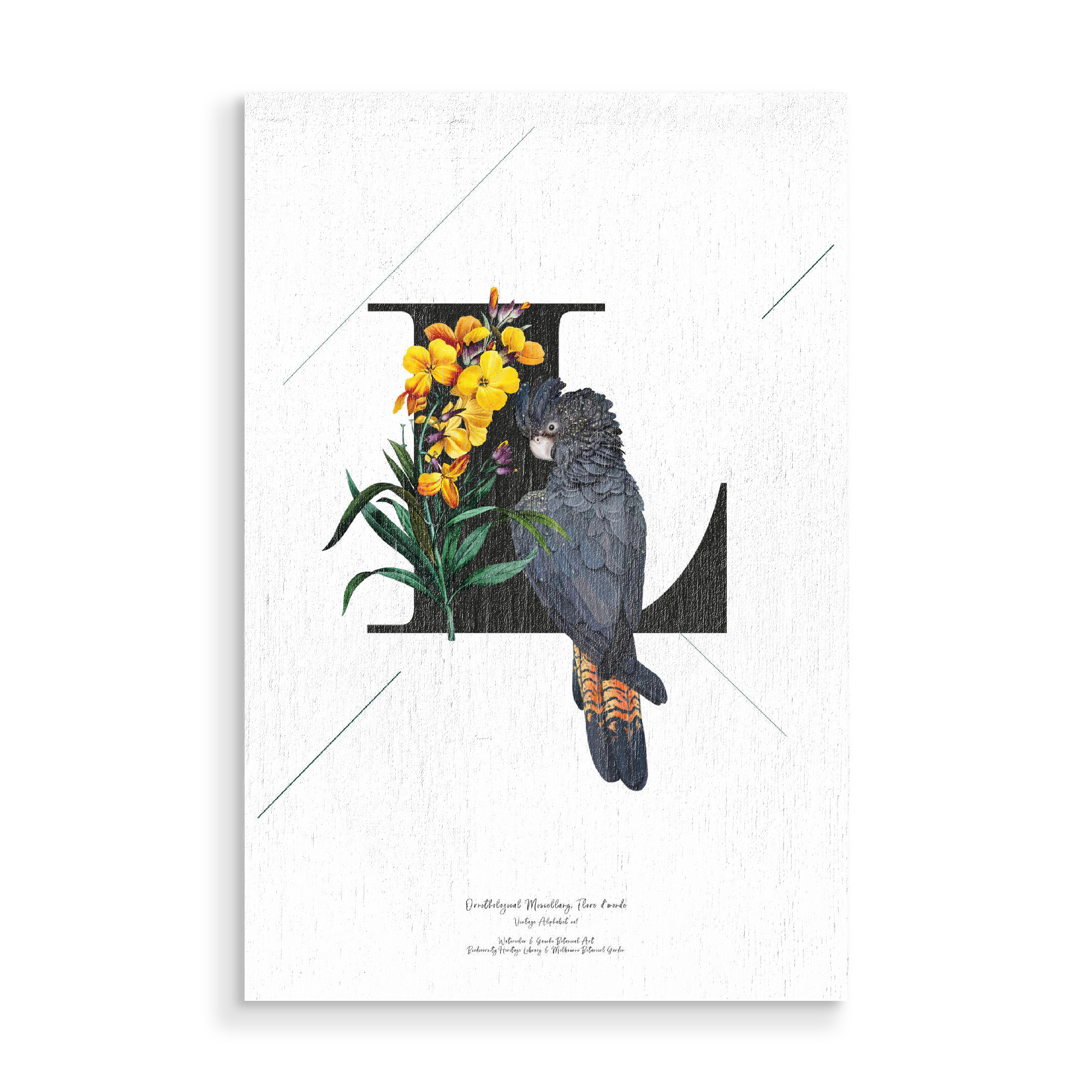 Holzbild "Botanical Alphabet-L" artboxONE - Schwarzweiß,Buchstaben,Buchstaben / L