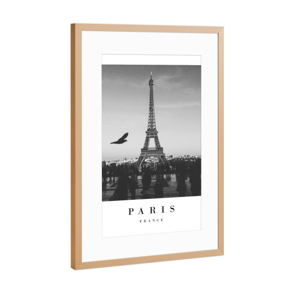 Poster mit Rahmen Kupfer "Lovely Paris" artboxONE - Schwarzweiß,Städte / Paris - France,Eiffel tower,Sky,Bird