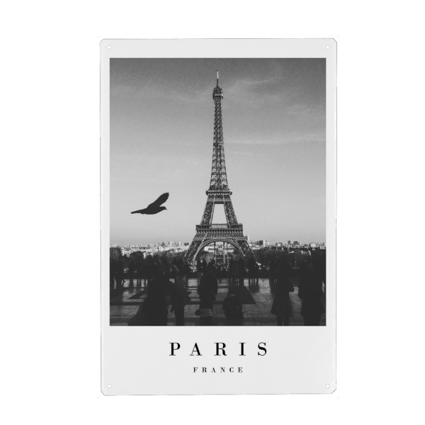 Holzbild "Lovely Paris" artboxONE - Schwarzweiß,Städte / Paris - France,Eiffel tower,Sky,Bird