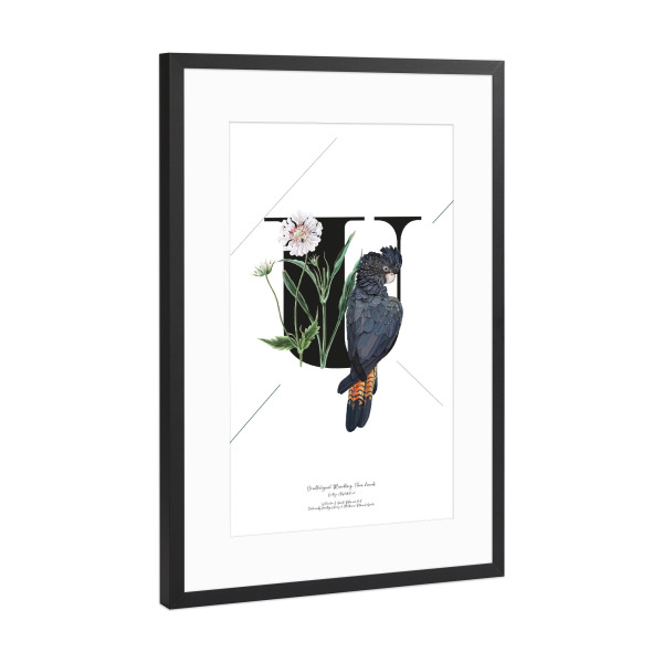 Poster mit Rahmen Schwarz (Metallic) "Botanical Alphabet-U" artboxONE - Typografie,Buchstaben,Buchstaben / U