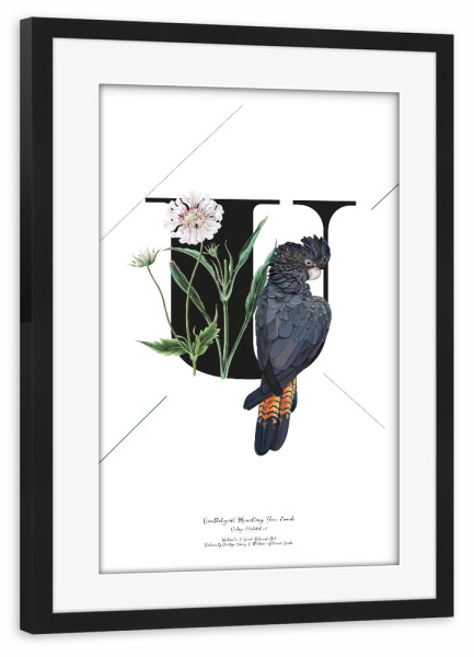 Poster mit Rahmen schwarz "Botanical Alphabet-U" artboxONE - Typografie,Buchstaben,Buchstaben / U