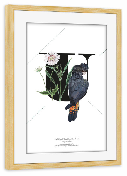 Poster mit Rahmen kiefer "Botanical Alphabet-U" artboxONE - Typografie,Buchstaben,Buchstaben / U