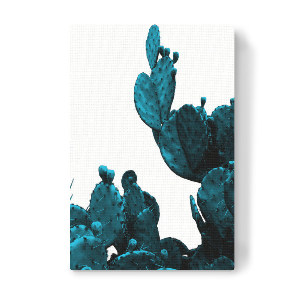 Leinwandbild "Teal Cactus" artboxONE - Floral - Cactus,Succulent