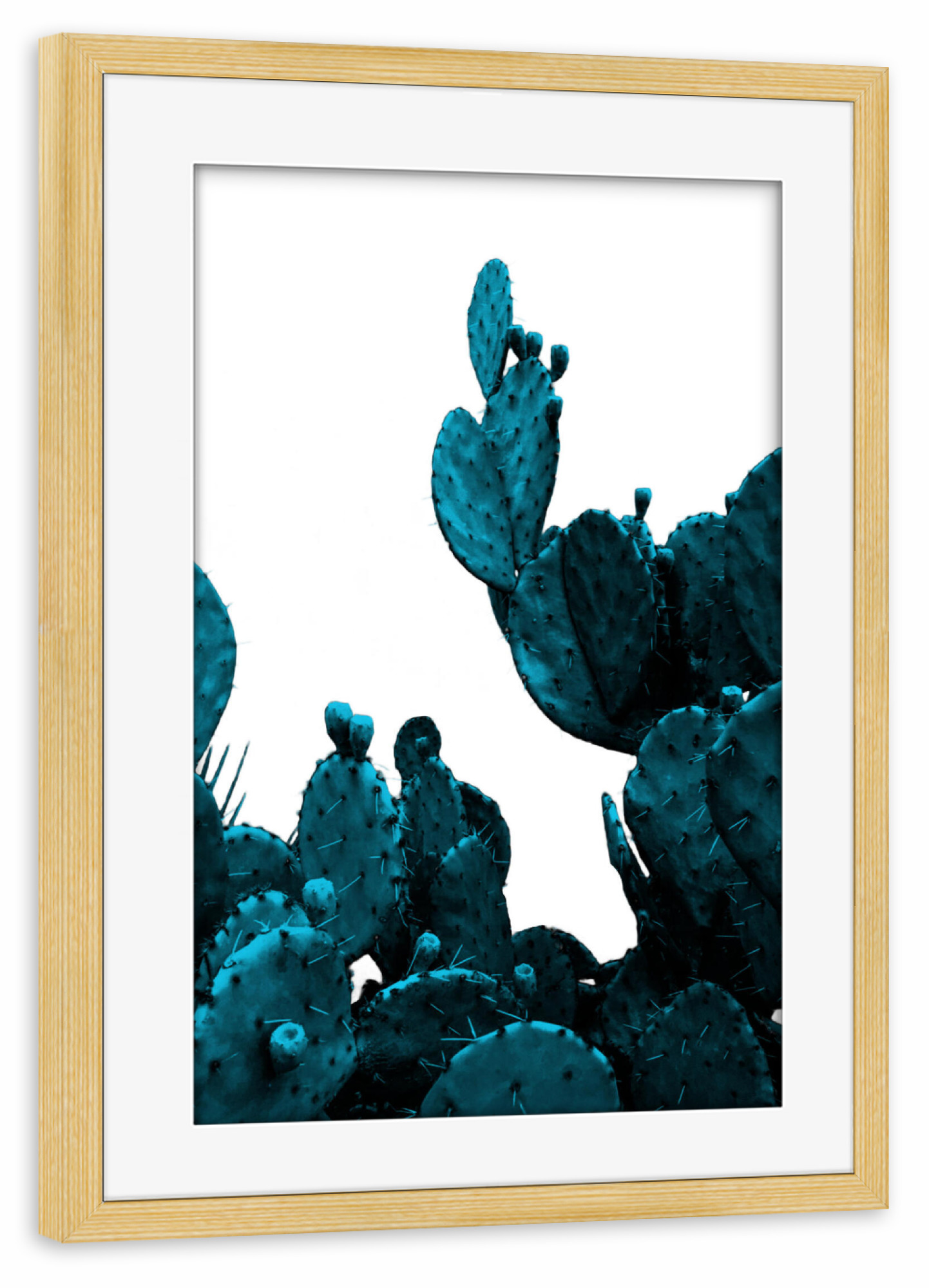 Poster mit Rahmen kiefer "Teal Cactus" artboxONE - Floral - Cactus,Succulent