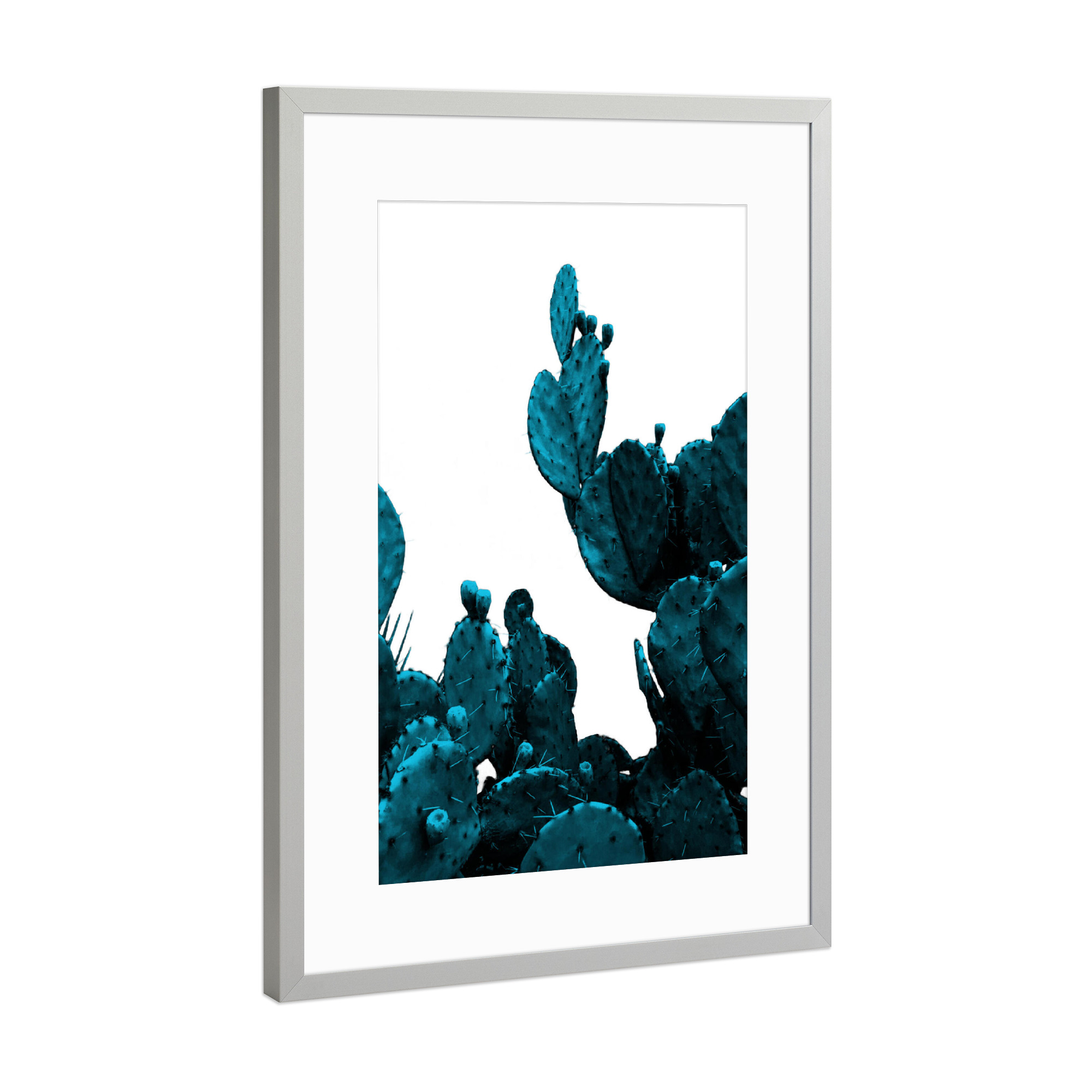 Poster mit Rahmen Silber "Teal Cactus" artboxONE - Floral - Cactus,Succulent