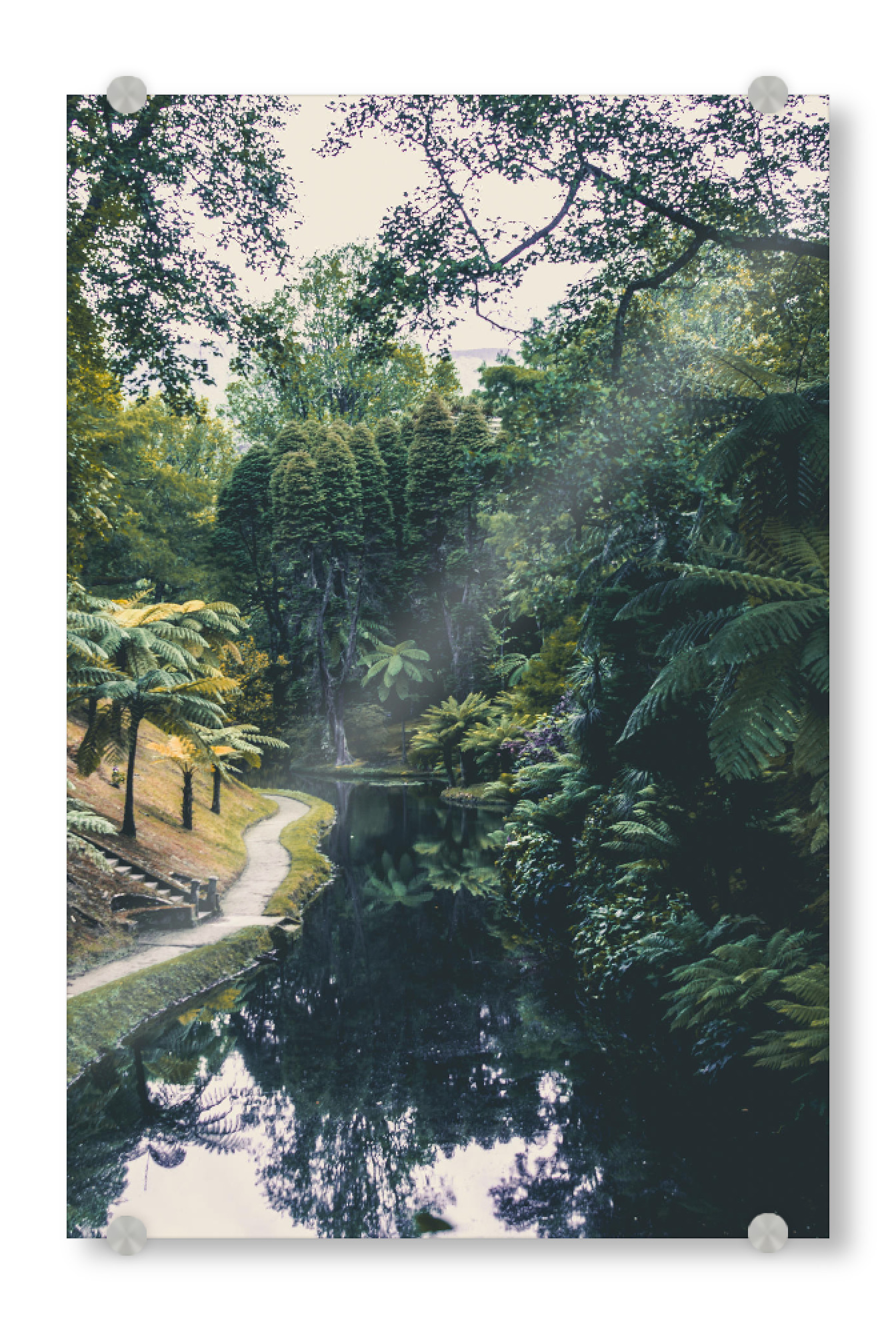 Acrylglasbild "GREENEST GARDEN" artboxONE - Natur - Tree,Garden,Nature,Forest,Pine