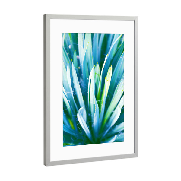 Poster mit Rahmen Silber "Heart of Nature" artboxONE - Floral - Double exposure