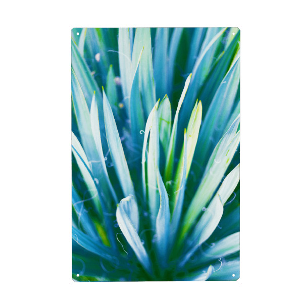 Metall Poster "Heart of Nature" artboxONE - Floral - Double exposure - Blechschild