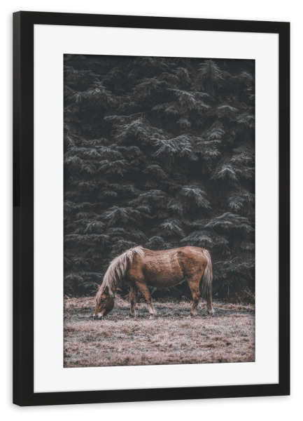 Poster mit Rahmen schwarz "Wildness" artboxONE - Tiere - Horse,Tree,Forest