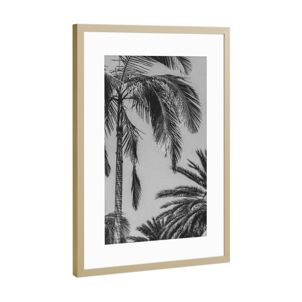Poster mit Rahmen Gold "Tropical Breeze" artboxONE - Natur,Schwarzweiß - Palms,Leaves