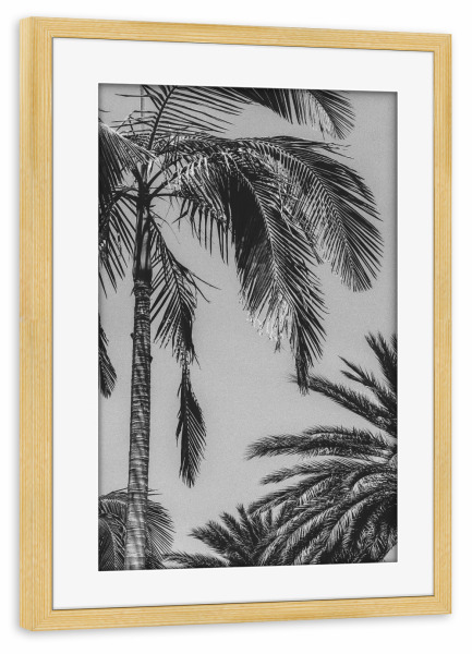 Poster mit Rahmen kiefer "Tropical Breeze" artboxONE - Natur,Schwarzweiß - Palms,Leaves