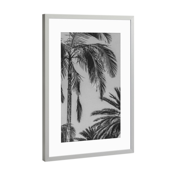 Poster mit Rahmen Silber "Tropical Breeze" artboxONE - Natur,Schwarzweiß - Palms,Leaves