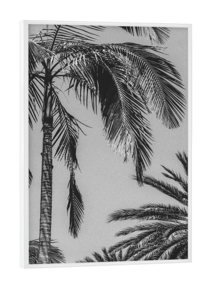 Poster mit weißem Rahmen "Tropical Breeze" artboxONE - Natur,Schwarzweiß - Palms,Leaves