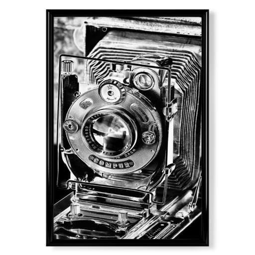 Plattenkamera Ica Dresden