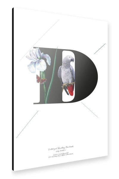 Alu-Dibond "Botanical Alphabet-D" 30x20 cm artboxONE
