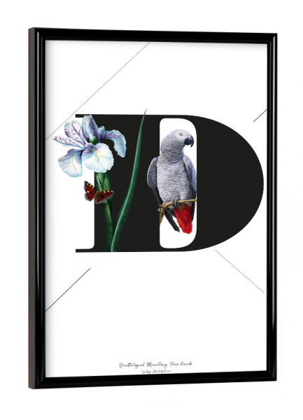 Poster mit schwarzem Rahmen "Botanical Alphabet-D" artboxONE - Buchstaben,Buchstaben / D