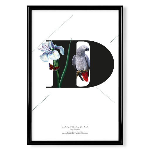 Botanical Alphabet-D