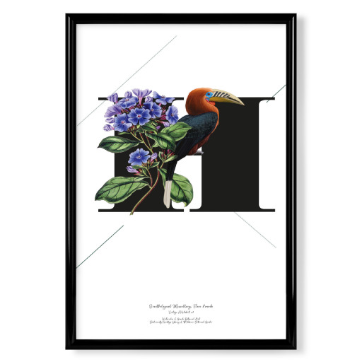 Botanical Alphabet-H