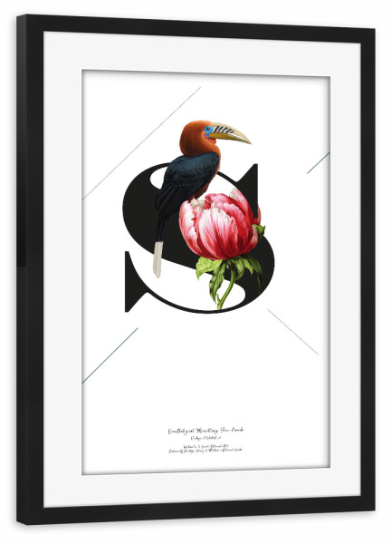 Poster mit Rahmen schwarz "Botanical Alphabet-S" artboxONE - Buchstaben,Buchstaben / S