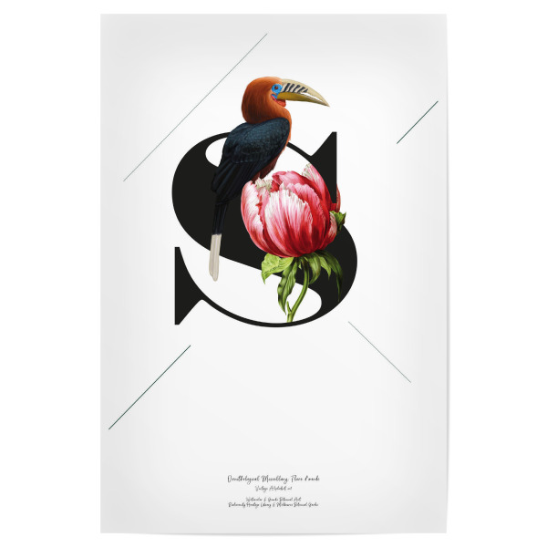 Poster "Botanical Alphabet-S" artboxONE - Buchstaben,Buchstaben / S
