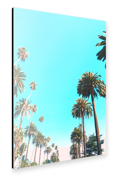 Alu-Dibond "OC Nature" 30x20 cm artboxONE