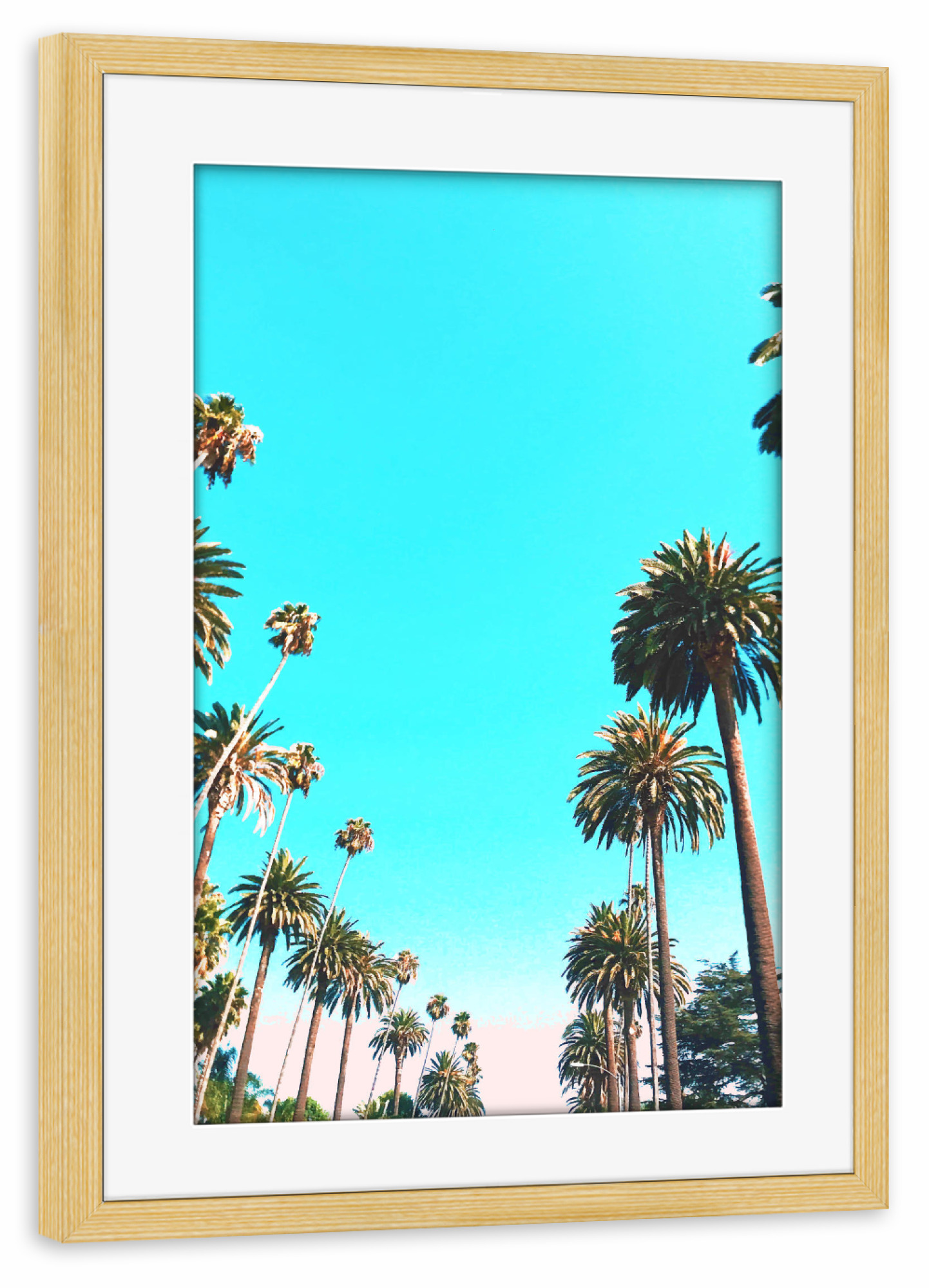 Poster mit Rahmen kiefer "OC Nature" artboxONE - Natur - California,Palm,Palmtree