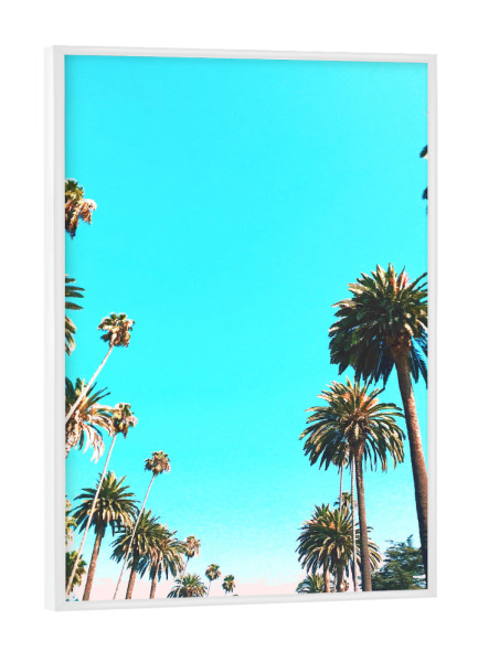 Poster mit weißem Rahmen "OC Nature" artboxONE - Natur - California,Palm,Palmtree