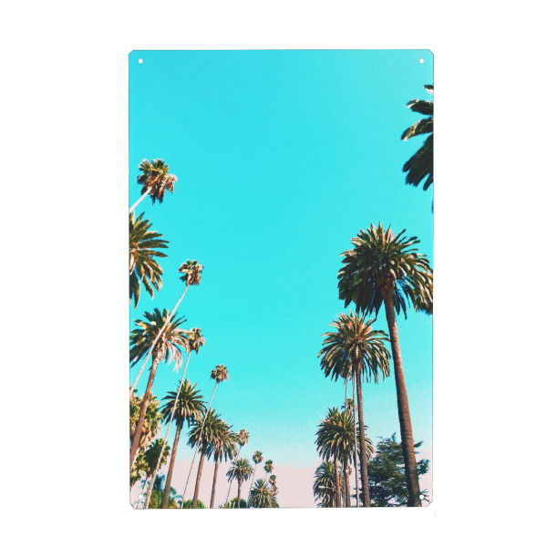 Metall Poster "OC Nature" artboxONE - Natur - California,Palm,Palmtree - Blechschild