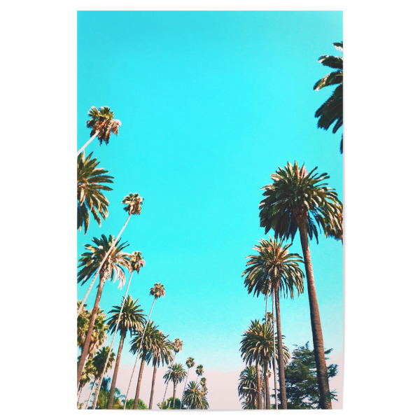 Poster 30x20 cm "OC Nature" artboxONE - Natur - California,Palm,Palmtree