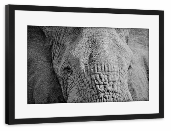 Poster mit Rahmen schwarz "Elefanten Augen" artboxONE - Tiere,Schwarzweiß - Elefant,Augen