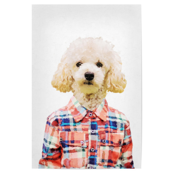 Poster 30x20 cm "Funny Poodle in red shirt" artboxONE - Tiere - Poodle,Dog